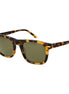 Serengeti Brown Acetate Sunglasses Serengeti