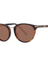Serengeti Brown Acetate & Metal Sunglasses Serengeti