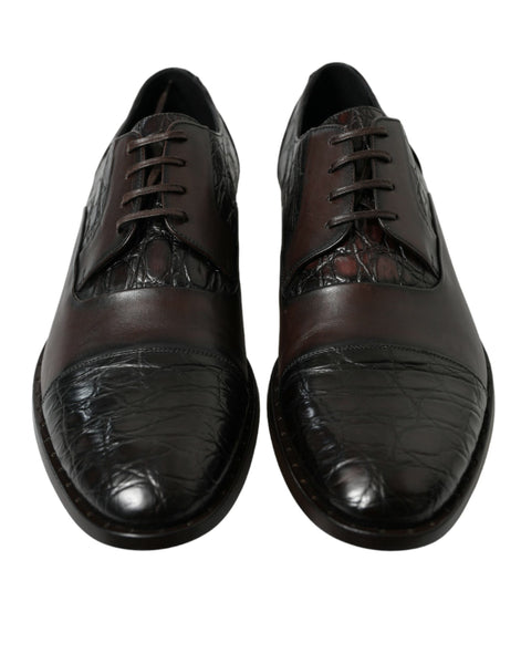 Dolce & Gabbana Brown Exotic Leather Formal Men Dress Shoes Dolce & Gabbana