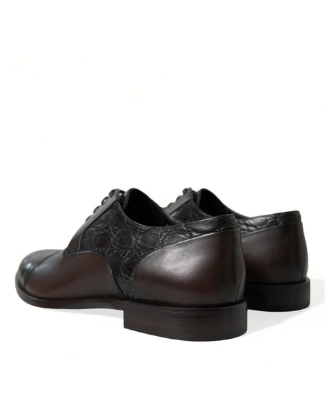 Dolce & Gabbana Brown Exotic Leather Formal Men Dress Shoes Dolce & Gabbana