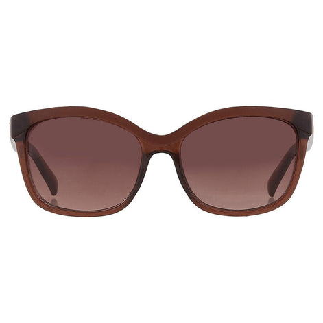 Guess Brown Resin Sunglasses Guess