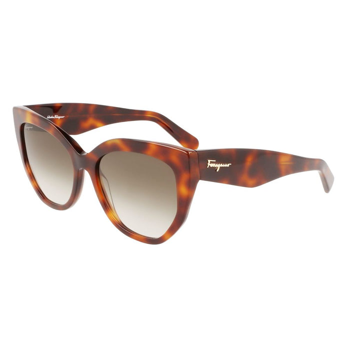 Ferragamo Brown Acetate Sunglasses Ferragamo