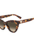 Moschino Brown Acetate Sunglasses Moschino