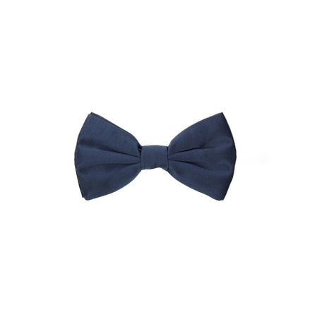 Dolce & Gabbana Blue Silk Bowtie Dolce & Gabbana