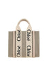 Chloé Brown Canvas Handbag Chloé